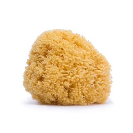 SUAVINEX | Umývacia prírodná huba - VEĽKÁ