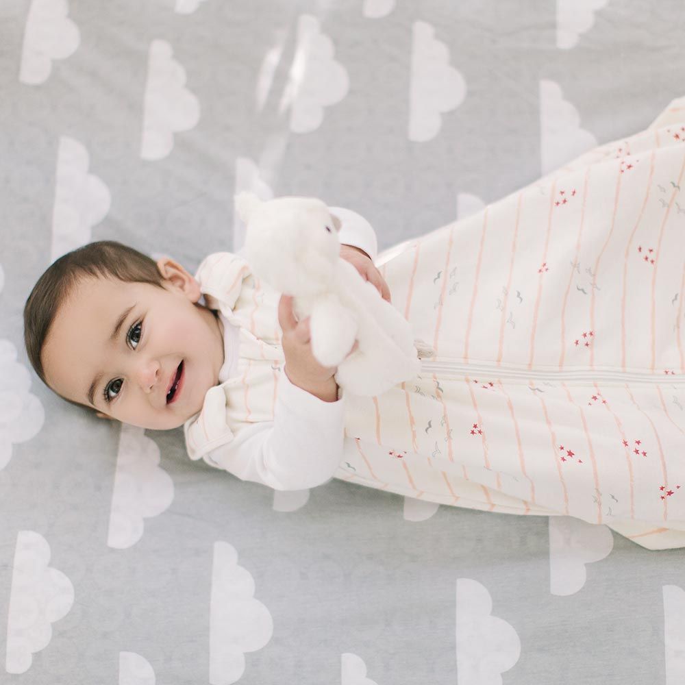 ERGOBABY | Spací vak 0-6 m TOG 0.3 - FLY ME AWAY – Obrázok 2