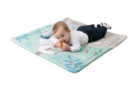 CHICCO Deka hracia Sovička 2v1 80x80 cm,